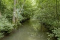 River crossing a green forest Royalty Free Stock Photo