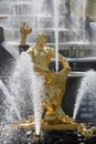 Samson statue in the fountain of Peterhof