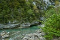 The BellÃÂ³s River in the AÃÂ±isclo Canyon in the Pyrenees, Spain Royalty Free Stock Photo
