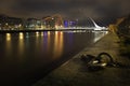 Samuel Becket Bridge in Dublin at Night