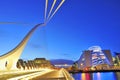 THE SAMUEL BECKETT BRIDGE