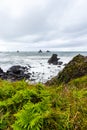 Samuel H Boardman State Park, Oregon, West Coast, United States of America, Travel USA, outdoor, adventure, landscape, rain forest Royalty Free Stock Photo