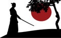 Samurai Royalty Free Stock Photo