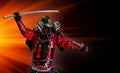 Samurai warrior with sword at sunset. Royalty Free Stock Photo