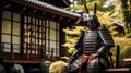 Samurai by the Japan houses, a member of a powerful military caste in feudal Japan, especially a member of the class of