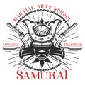 Samurai Martial Arts Print Royalty Free Stock Photo