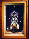 Samurai stands in the window Royalty Free Stock Photo