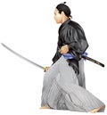 Samurai with the sword Royalty Free Stock Photo