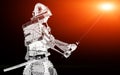 Samurai warrior with sword at sunset. Royalty Free Stock Photo