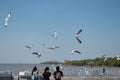 Samut Prakan, Thailand - January 25, 2021: Tourists feeding group of seagull fly over at Bang Pu seaside recreation center,