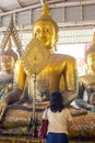 People pray respect to The Statue of buddha