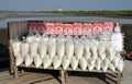 Samut Songkhram, Thailand: Bags of Salt Royalty Free Stock Photo