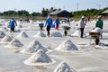 Samut Songkhram, Thailand: Salt Harvest