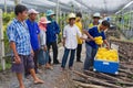 People work at the orchid farm in Samut Songkram, Thailand. Royalty Free Stock Photo