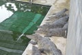 Samutprakan Crocodile Farm Royalty Free Stock Photo