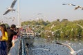 People or traveller come to see seagull bird flying on sea at Bang poo, Samutprakan, Thailand. Royalty Free Stock Photo