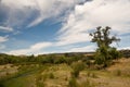 San Andreas Fault in farmland