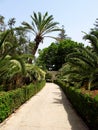 San Anton Palace and gardens, Mosta, Malta Royalty Free Stock Photo