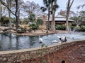 San Antonio zoo