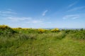 San Bartolo regional park Marche region