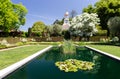 San Carlos, California, USA - May 05, 2019: A pond in Filoli estate garden on sunny day with blue sky
