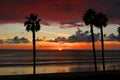 San Clemente Sunset with Palm Trees