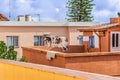 Skin of an animal dries on a rope on the balcony of a residential building