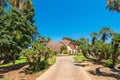 San Diego Balboa park Botanical building. Alley in the park with tropical trees Royalty Free Stock Photo