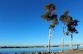 San Diego Bay, California