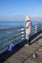 Fresh Caught Fish for a Lunch, Crystal Pier, San Diego, CA Royalty Free Stock Photo