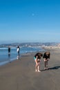 Women Beachcombing at Mission Beach in San Diego