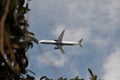 Jetblue flight over san diego california ,usa