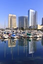 San Diego City Skyline