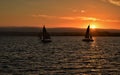 San Diego harbor sunset sailing