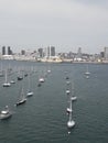 San Diego marina sailing boats Royalty Free Stock Photo