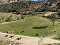 San Diego safari park zoo in San Diego Royalty Free Stock Photo