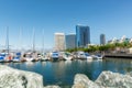 San Diego Marina Harbor. Luxury Yachts in Embarcadero Marina Park