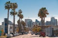 San Diego, USA, 2019. City skyline with palm trees Royalty Free Stock Photo