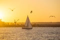 San Diego Waterfront Public Park, Marina and the San Diego Skyline. California, United States. Royalty Free Stock Photo