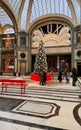 San Federico Gallery in Turin city, Italy. Christmas time and tree