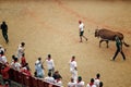 After the San Fermin Bullrun in Pamplona Royalty Free Stock Photo