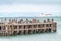 SAN FRANCISCO - AUGUST 5, 2017: Moore Road Pier with tourists in Sausalito looking to Golden Gate Bridge
