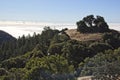 San Francisco Bay Area from Mt. Tamalpais