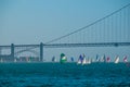 San Francisco Bay Golden Gate Regatta Royalty Free Stock Photo