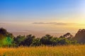 San francisco bay view on mountain in sunset ,San francisco,California,USA Royalty Free Stock Photo