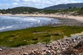 San francisco beach and hills, piriapolis