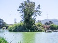 SAN FRANCISCO, CA - APRIL 4th 2017 - Young family relax on the Stow Lake in Golden Gate Park Royalty Free Stock Photo