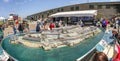 SAN FRANCISCO, CA - AUGUST 7, 2017: Panoramic view of Pier 33 with tourists  near Alcatraz Departures on a beautiful summer day Royalty Free Stock Photo