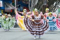 Unidentified participants in the 45th annual Carnaval Grand Parade in San Francisco, CA