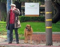 Man and His Dog Waiting to Cross Street Royalty Free Stock Photo